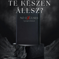 NO EXCUSES -  Ez nem napló, hanem szerződés magaddal.