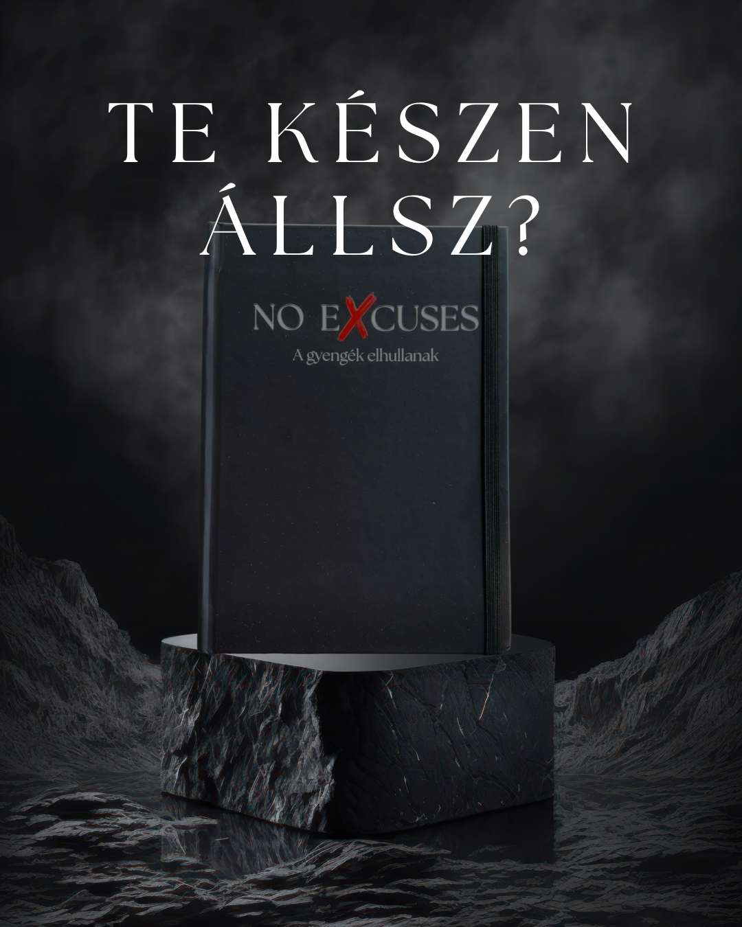 NO EXCUSES -  Ez nem napló, hanem szerződés magaddal.