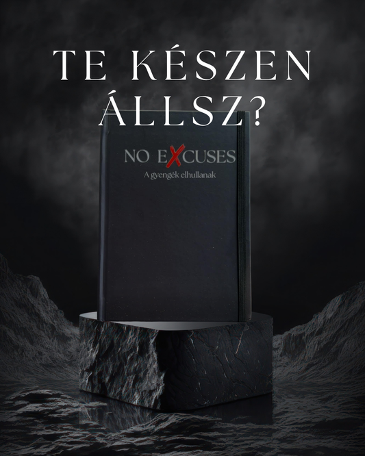 NO EXCUSES -  Ez nem napló, hanem szerződés magaddal.